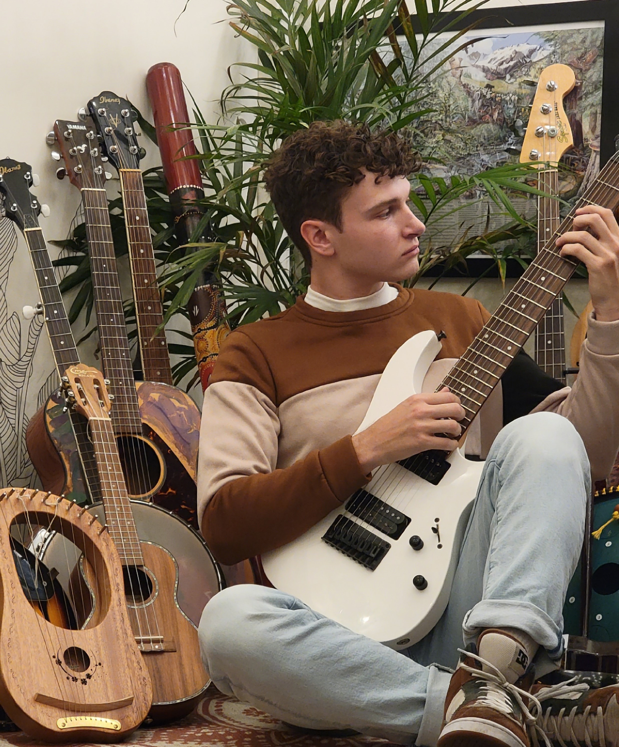 image of crop analysis process